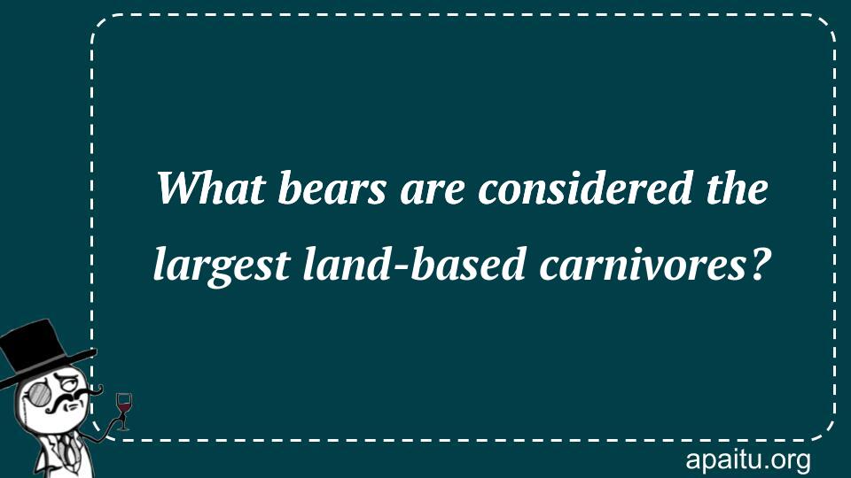 What bears are considered the largest land-based carnivores?