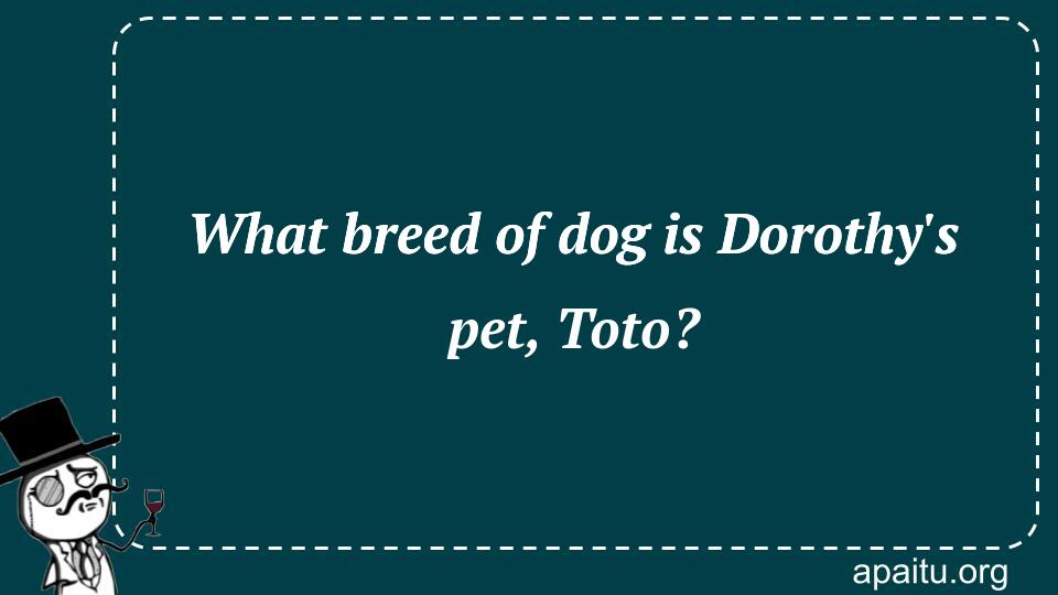 What breed of dog is Dorothy`s pet, Toto?