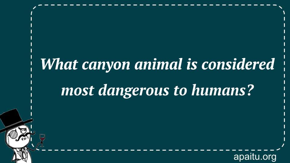 What canyon animal is considered most dangerous to humans?