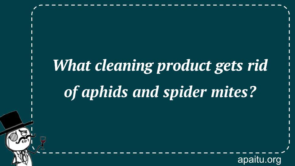 What cleaning product gets rid of aphids and spider mites?