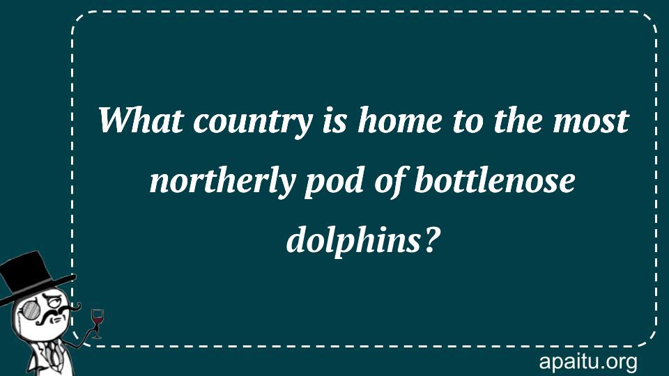 What country is home to the most northerly pod of bottlenose dolphins?