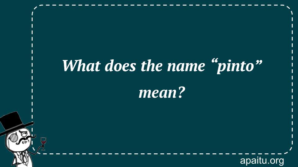 What does the name “pinto” mean?