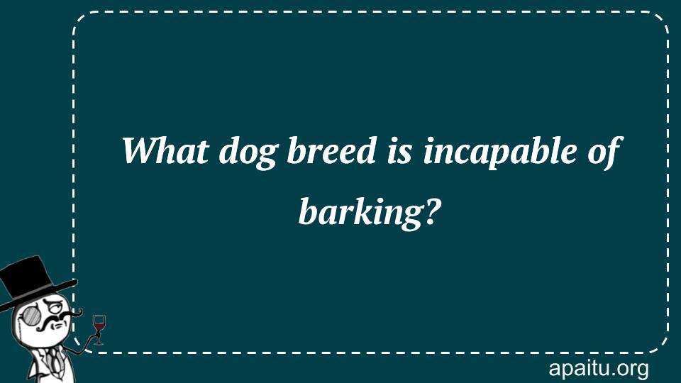 What dog breed is incapable of barking?