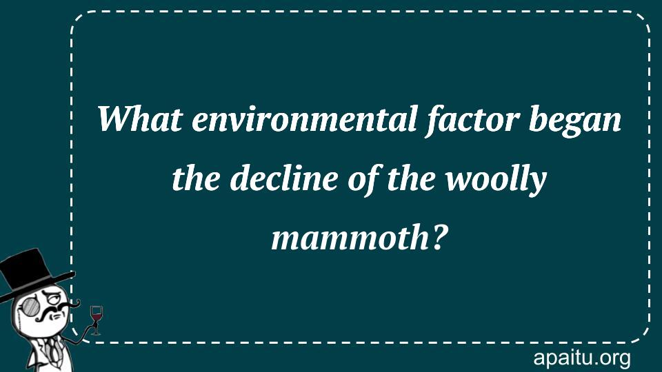 What environmental factor began the decline of the woolly mammoth?