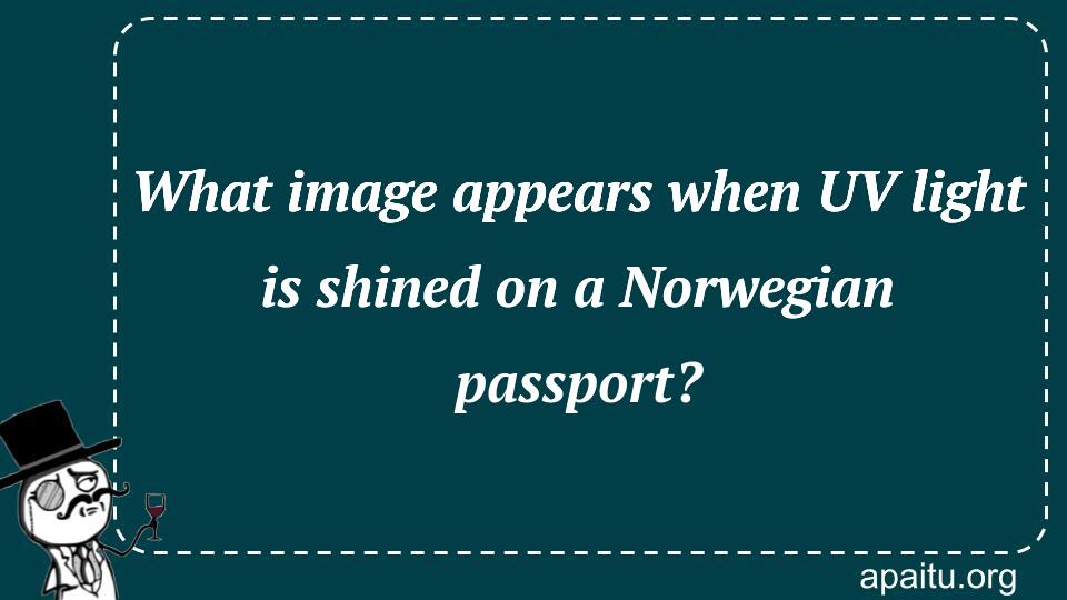 What image appears when UV light is shined on a Norwegian passport?