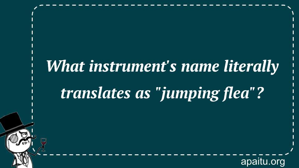 What instrument`s name literally translates as `jumping flea`?