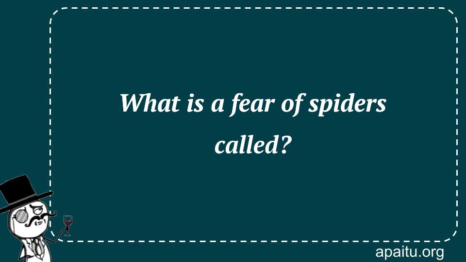 What is a fear of spiders called?