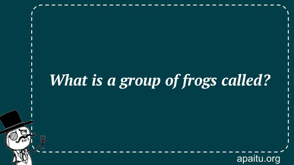 What is a group of frogs called?