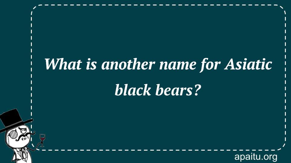 What is another name for Asiatic black bears?