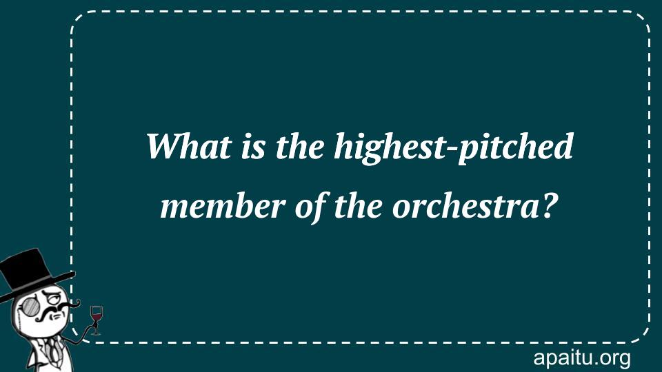 What is the highest-pitched member of the orchestra?