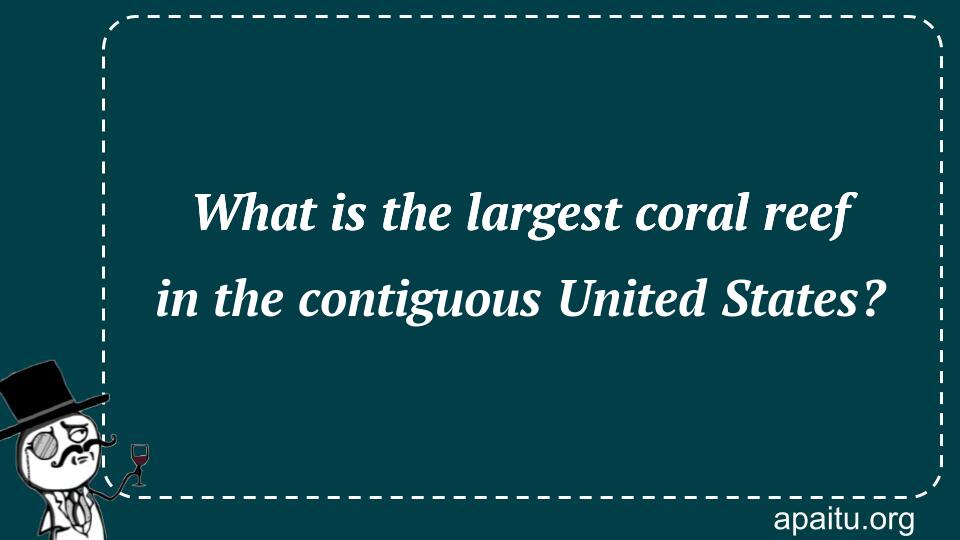 What is the largest coral reef in the contiguous United States?