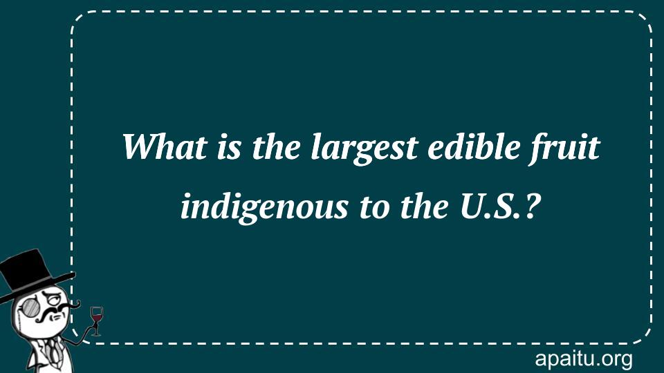 What is the largest edible fruit indigenous to the U.S.?