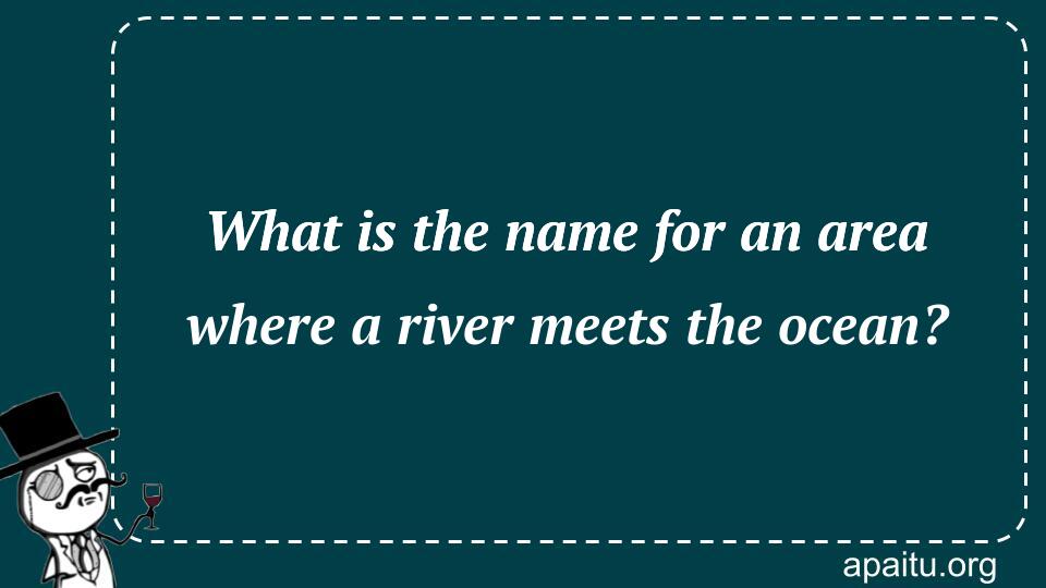 What is the name for an area where a river meets the ocean?