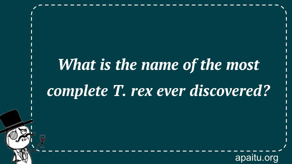 What is the name of the most complete T. rex ever discovered?