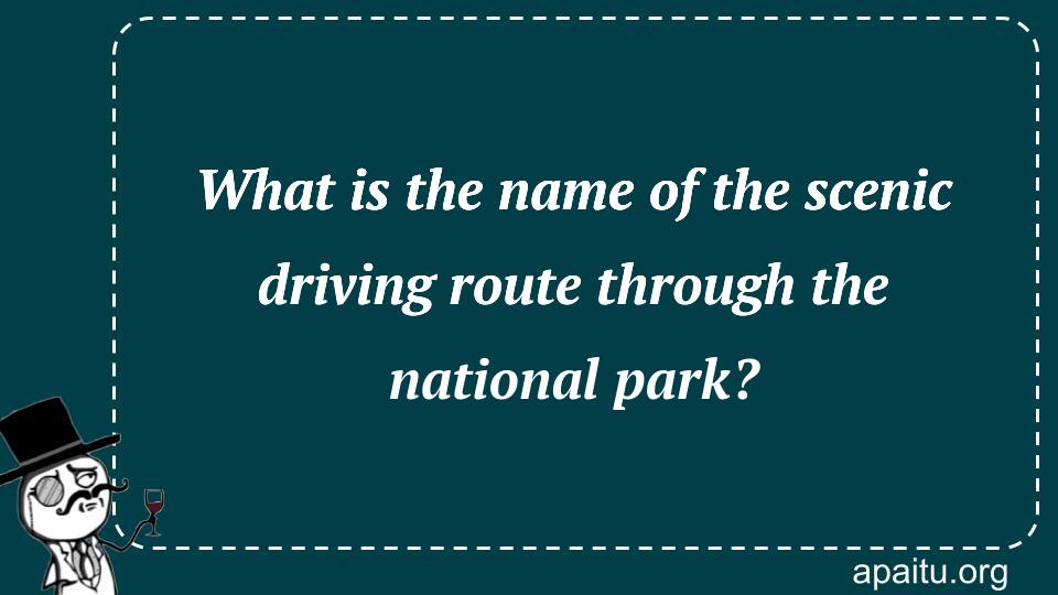 What is the name of the scenic driving route through the national park?