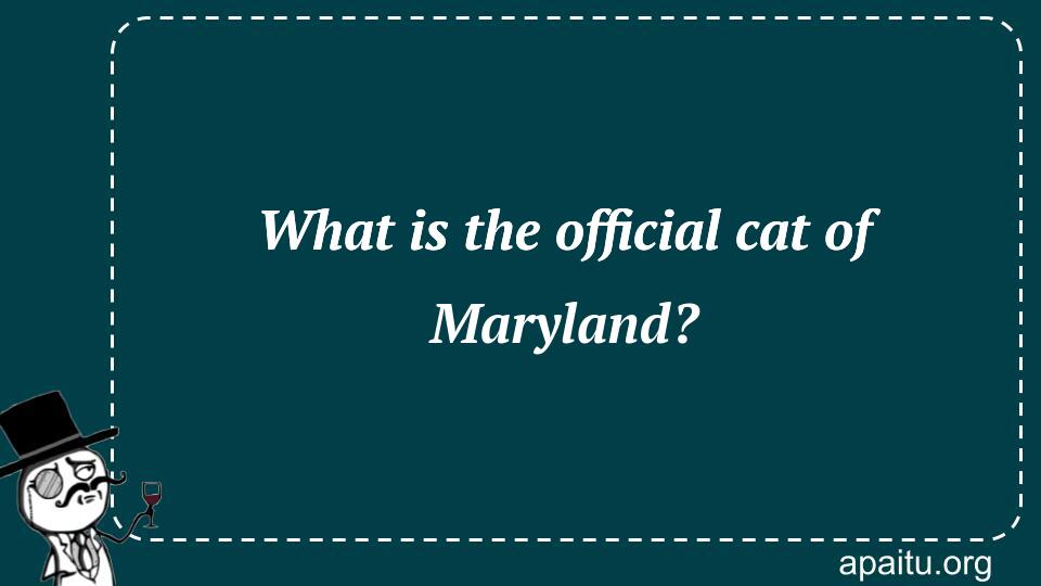 What is the official cat of Maryland?