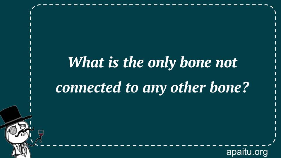 What is the only bone not connected to any other bone?