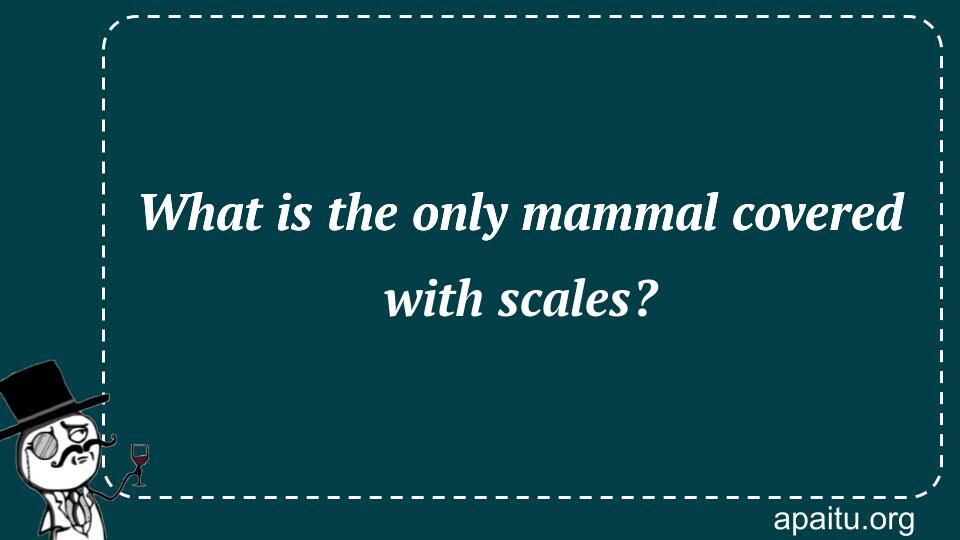 What is the only mammal covered with scales?