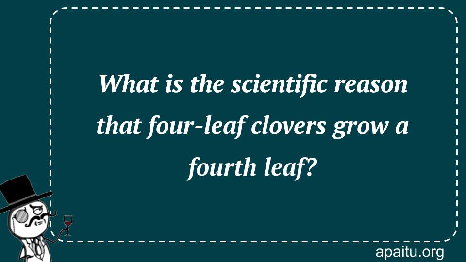 What is the scientific reason that four-leaf clovers grow a fourth leaf?