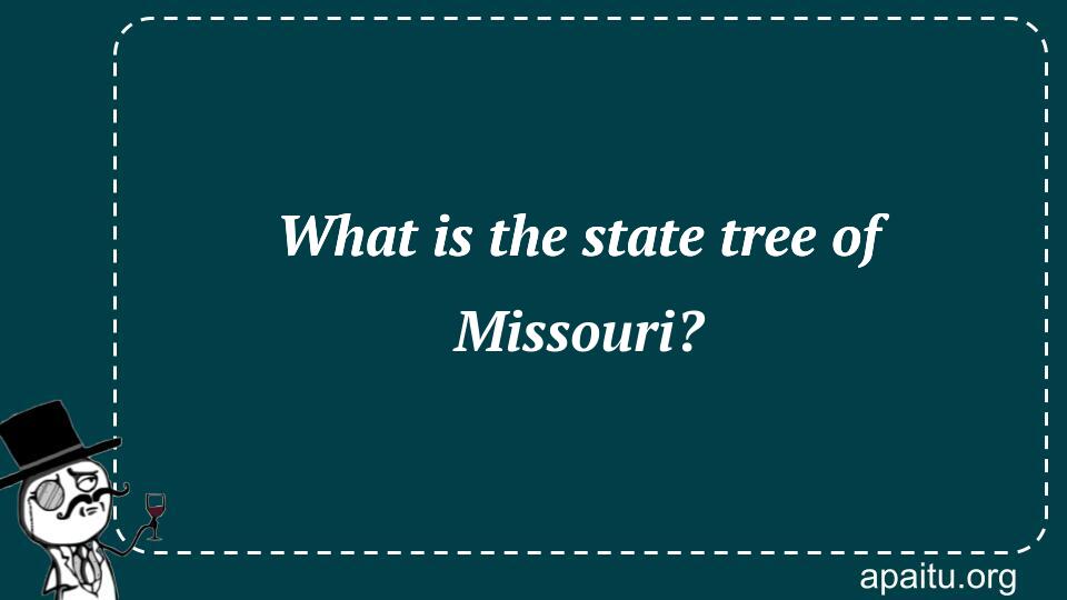 What is the state tree of Missouri?