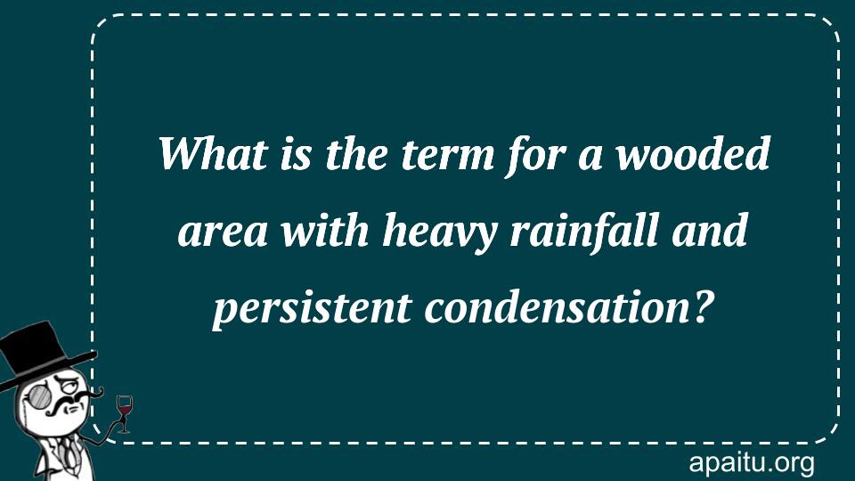 What is the term for a wooded area with heavy rainfall and persistent condensation?