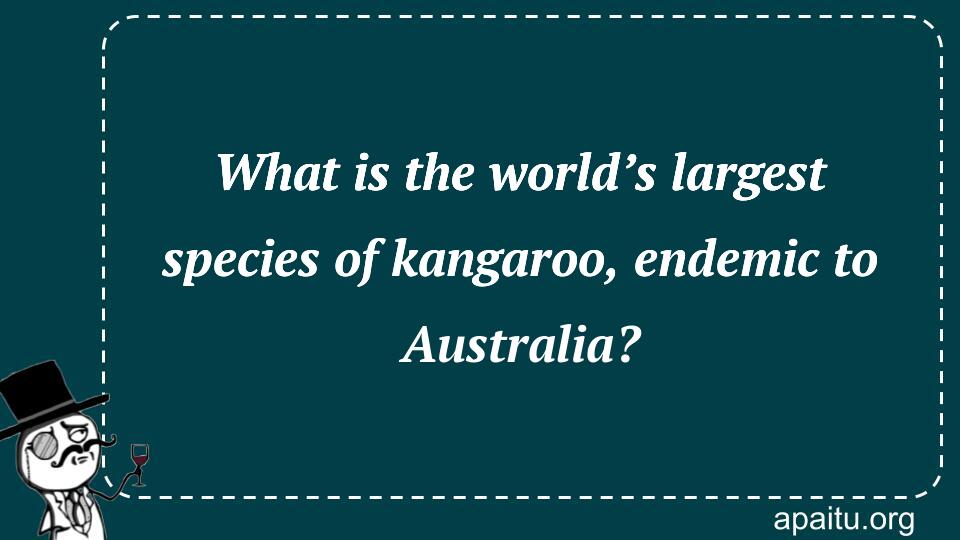 What is the world’s largest species of kangaroo, endemic to Australia?