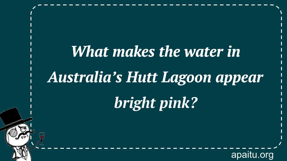 What makes the water in Australia’s Hutt Lagoon appear bright pink?