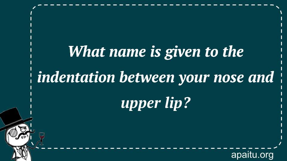 What name is given to the indentation between your nose and upper lip?