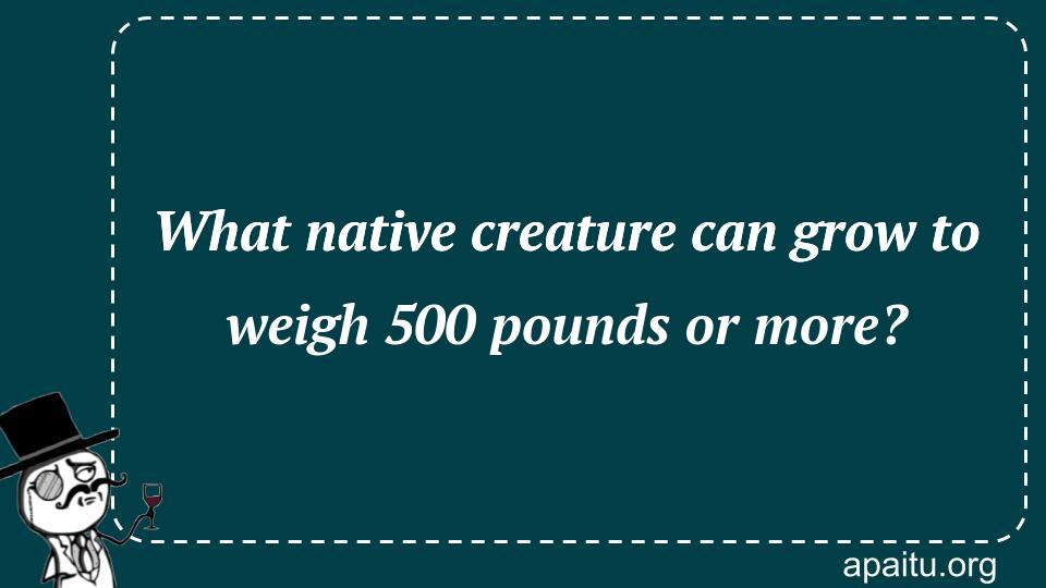 What native creature can grow to weigh 500 pounds or more?