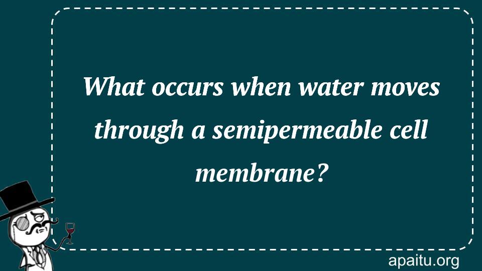 What occurs when water moves through a semipermeable cell membrane?