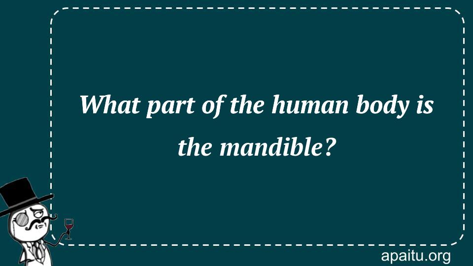 What part of the human body is the mandible?