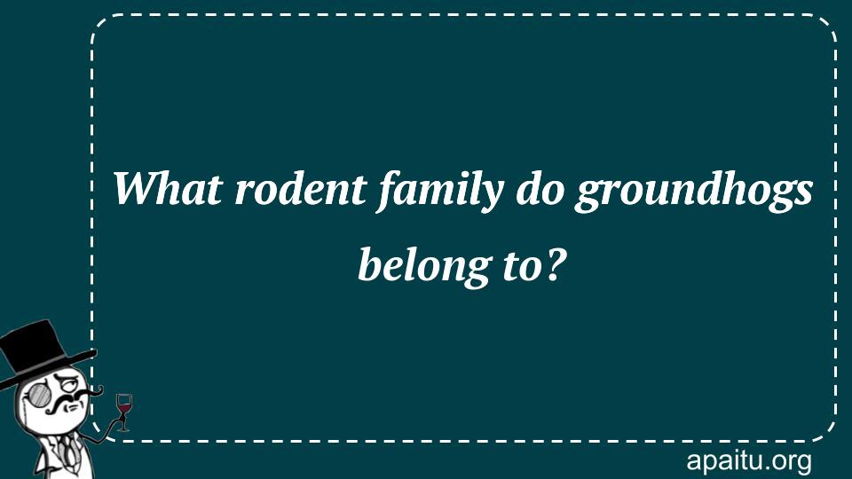 What rodent family do groundhogs belong to?