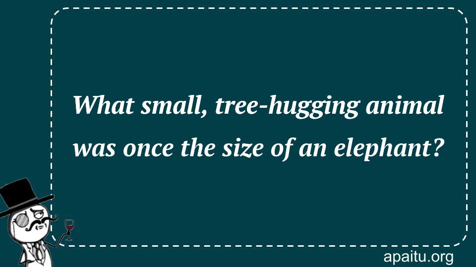 What small, tree-hugging animal was once the size of an elephant?