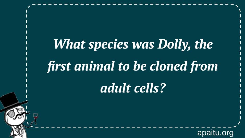 What species was Dolly, the first animal to be cloned from adult cells?