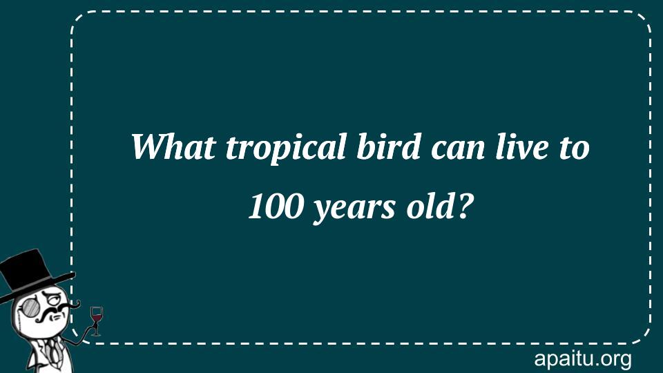 What tropical bird can live to 100 years old?