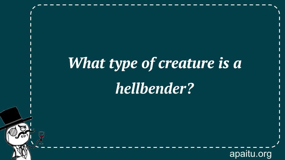 What type of creature is a hellbender?