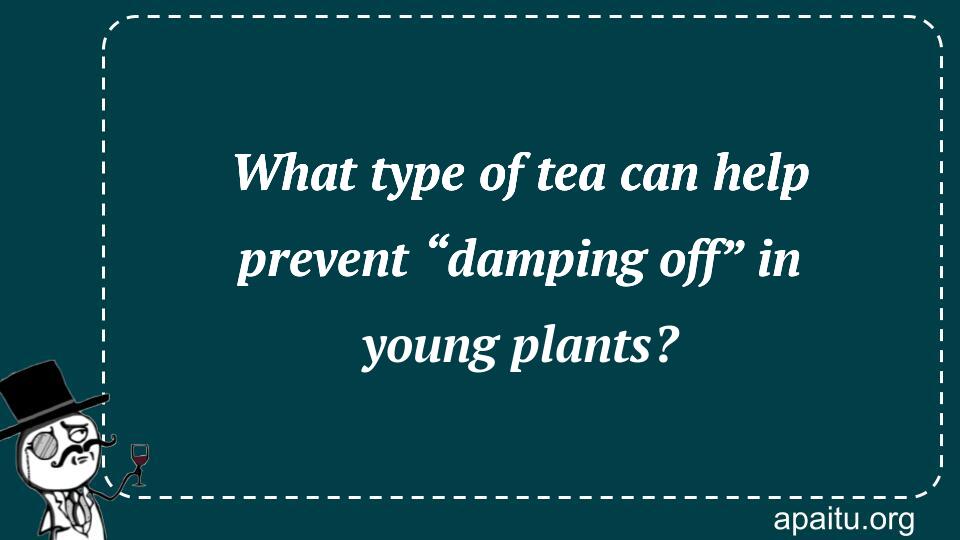 What type of tea can help prevent “damping off” in young plants?