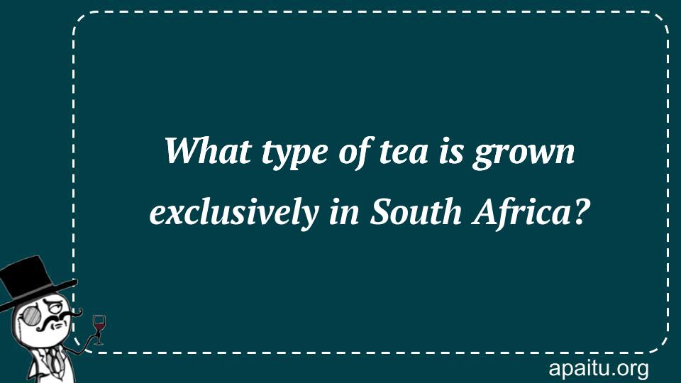 What type of tea is grown exclusively in South Africa?