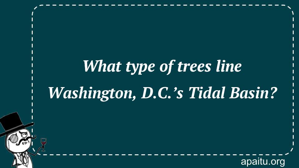 What type of trees line Washington, D.C.’s Tidal Basin?