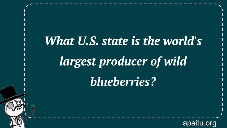 What U.S. state is the world`s largest producer of wild blueberries?