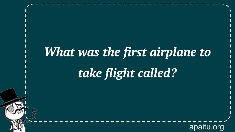 What was the first airplane to take flight called?