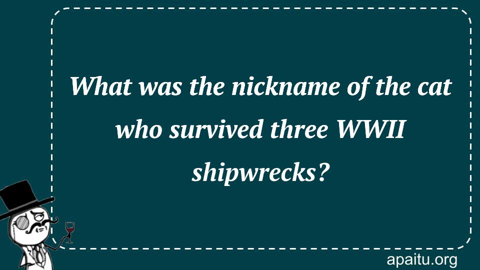 What was the nickname of the cat who survived three WWII shipwrecks?