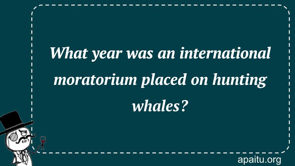 What year was an international moratorium placed on hunting whales?