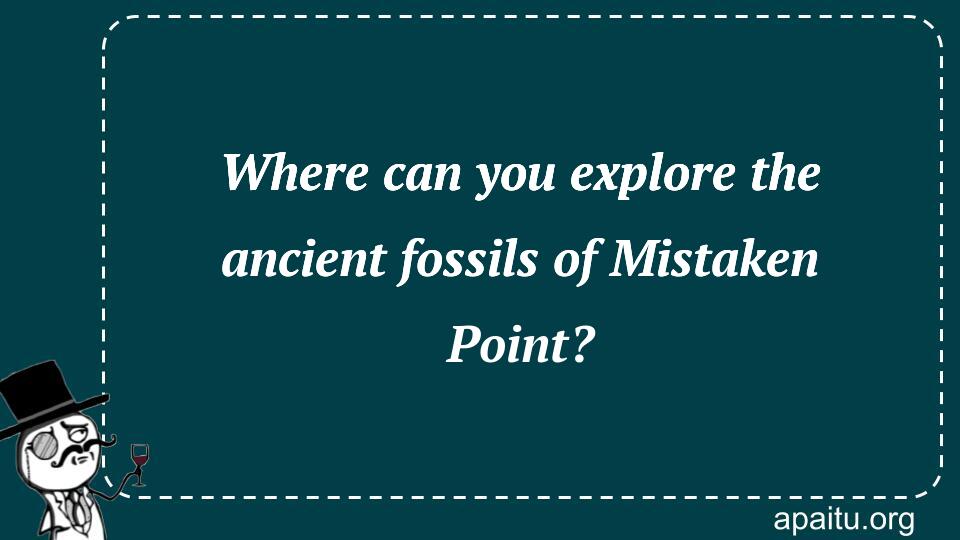 Where can you explore the ancient fossils of Mistaken Point?