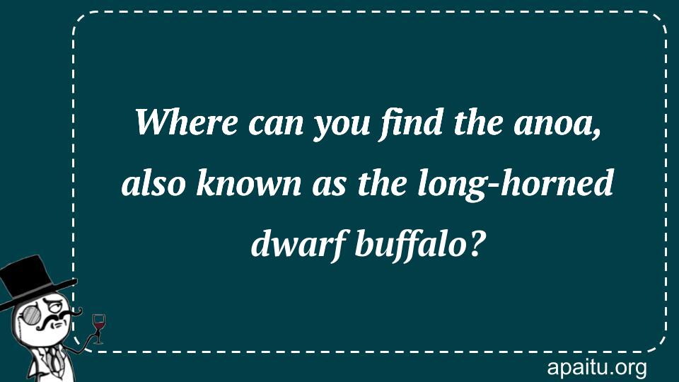 Where can you find the anoa, also known as the long-horned dwarf buffalo?