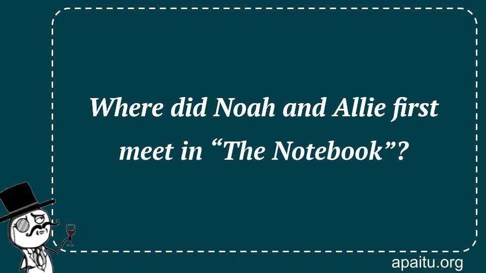 Where did Noah and Allie first meet in “The Notebook”?