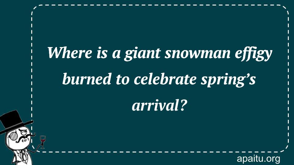 Where is a giant snowman effigy burned to celebrate spring’s arrival?