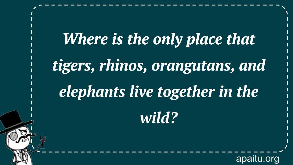 Where is the only place that tigers, rhinos, orangutans, and elephants live together in the wild?