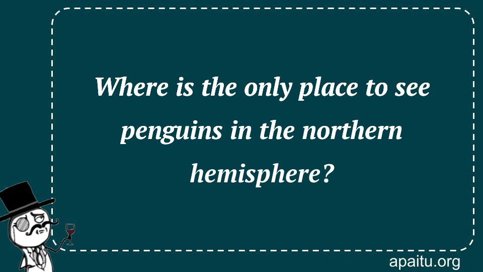 Where is the only place to see penguins in the northern hemisphere?