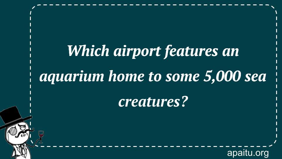 Which airport features an aquarium home to some 5,000 sea creatures?